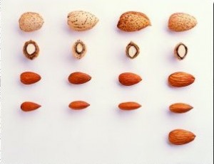 Assorted Almonds